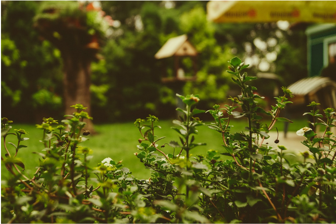 Landscape Gardening