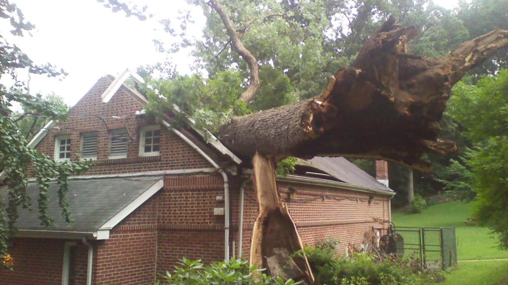 All you need to know about filing an insurance claim following a hurricane