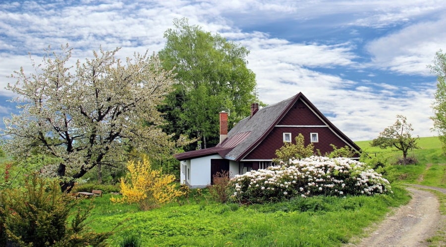 Dream Home