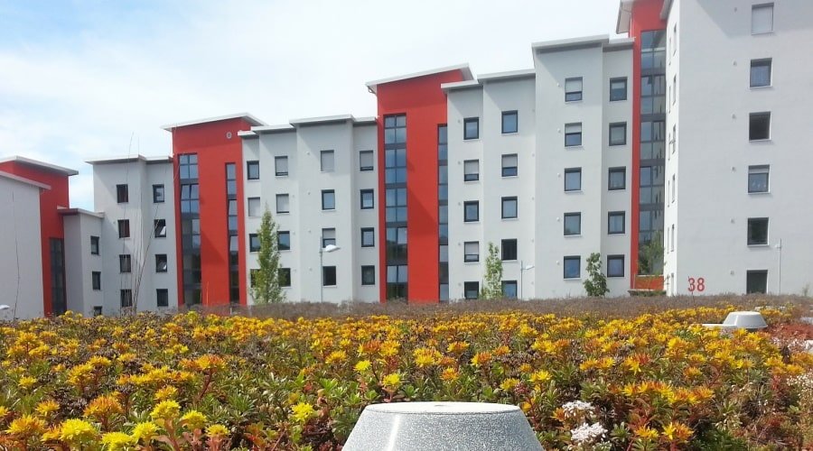 Multi-Family Buildings
