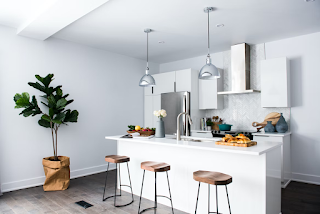 7 Interesting Ways to Decorate with Plants