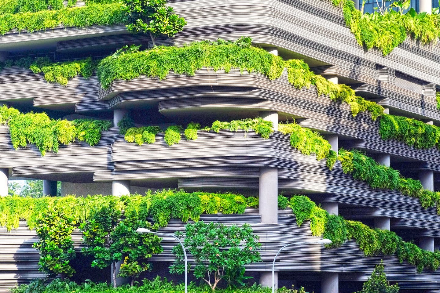 Why is it Important to Design Sustainable Houses?