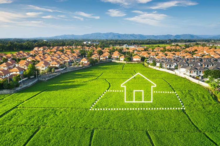 land buying