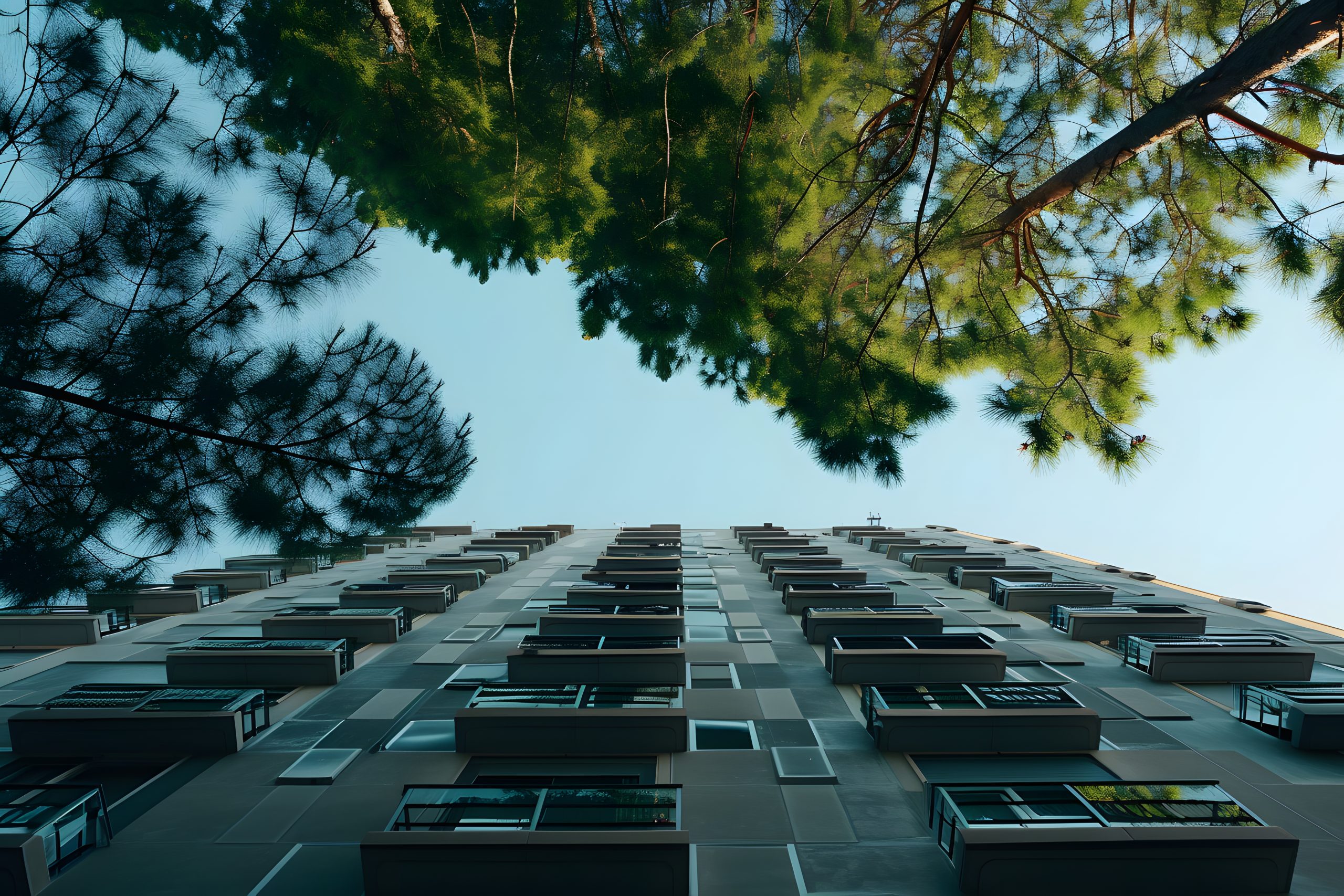 Architecture