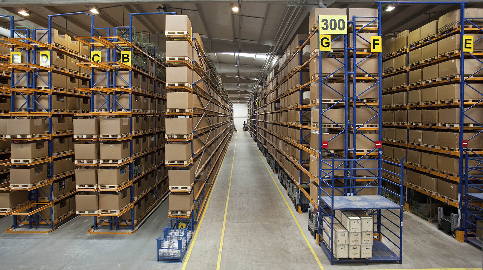 warehouse Safety