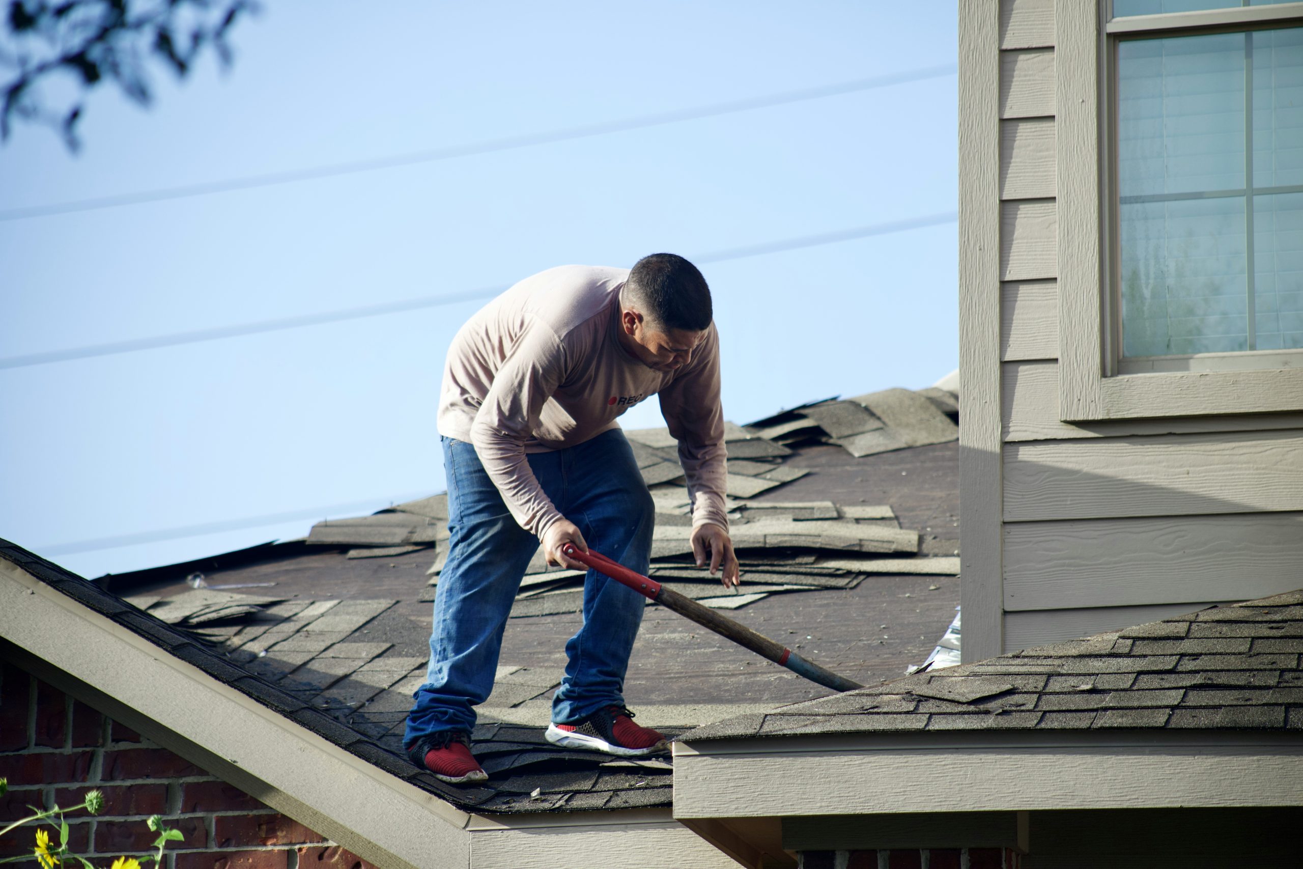 Roof design